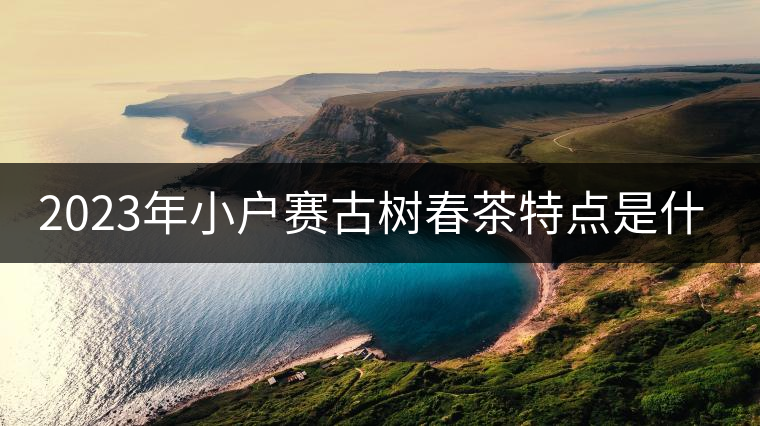 2023年小戶賽古樹春茶特點(diǎn)是什么? 2023年小戶賽古樹春茶特點(diǎn)是什么?