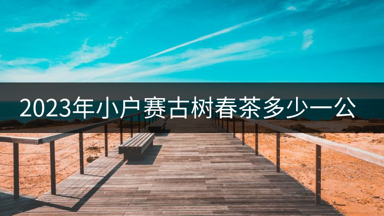 2023年小戶賽古樹春茶多少一公斤？