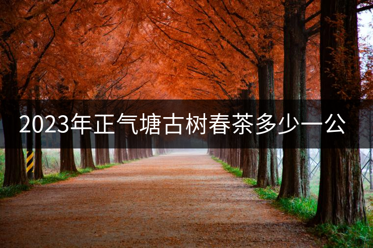 2023年正氣塘古樹春茶多少一公斤？