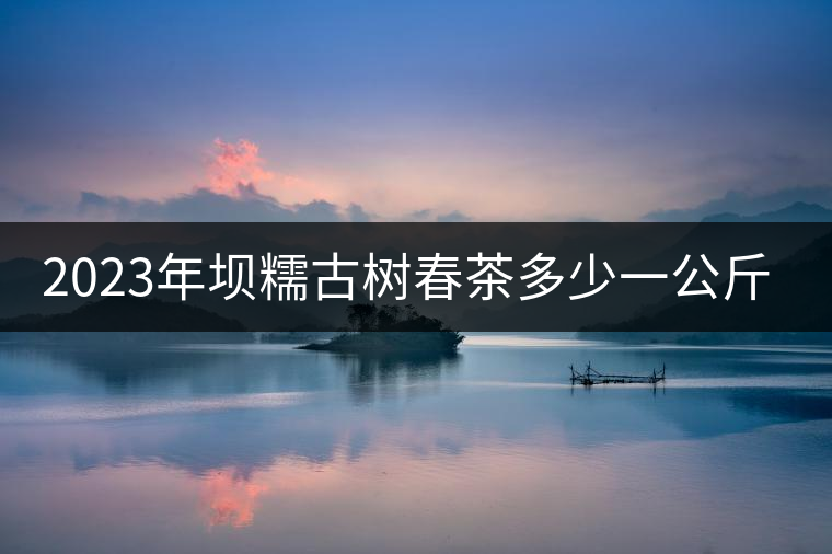 2023年壩糯古樹(shù)春茶多少一公斤？