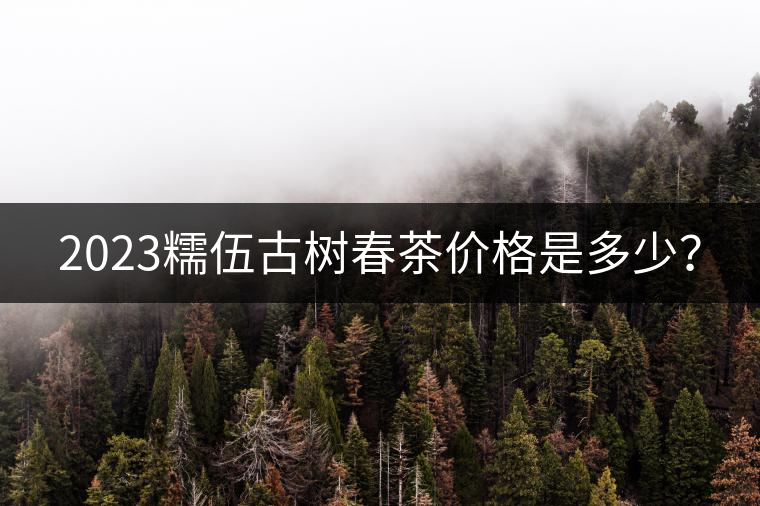 2023糯伍古樹春茶價格是多少？
