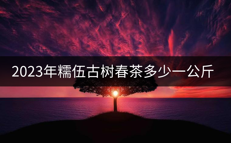 2023年糯伍古樹春茶多少一公斤？