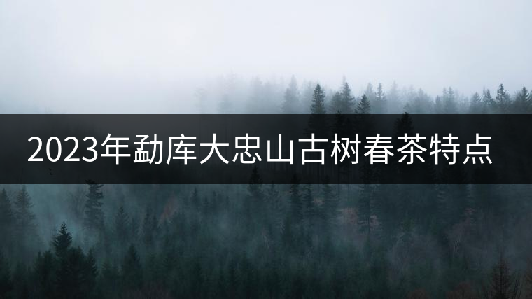 2023年勐庫(kù)大忠山古樹(shù)春茶特點(diǎn)?