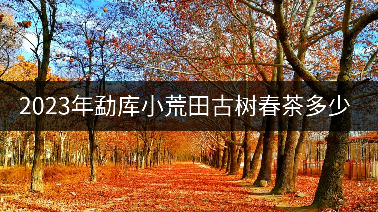 2023年勐庫小荒田古樹春茶多少一公斤？