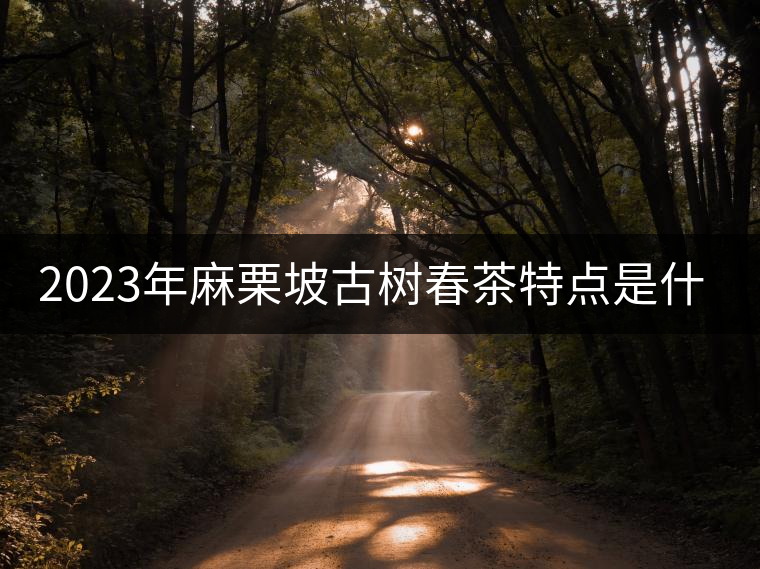 2023年麻栗坡古樹春茶特點(diǎn)是什么？