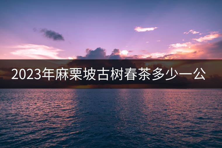 2023年麻栗坡古樹春茶多少一公斤？