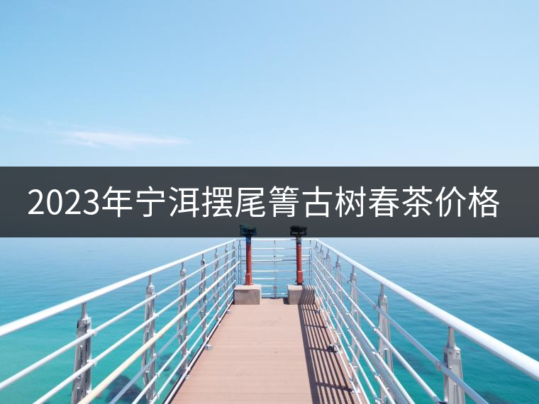 2023年寧洱擺尾箐古樹春茶價(jià)格是多少？