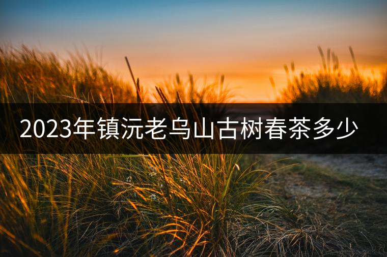 2023年鎮(zhèn)沅老烏山古樹春茶多少一公斤？