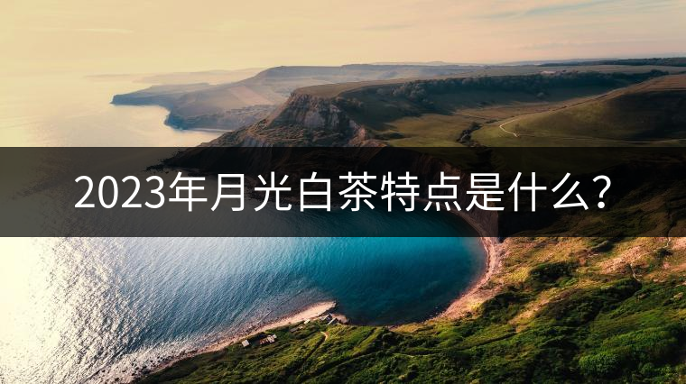 2023年月光白茶特點(diǎn)是什么？