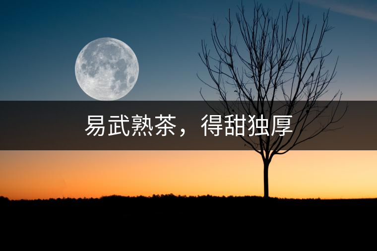 易武熟茶，得甜獨厚