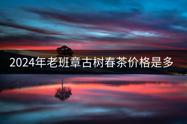 2024年老班章古樹春茶價格是多少？