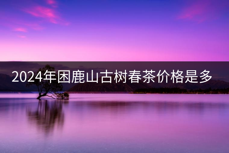2024年困鹿山古樹(shù)春茶價(jià)格是多少？