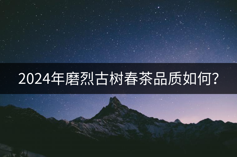 2024年磨烈古樹春茶品質(zhì)如何？