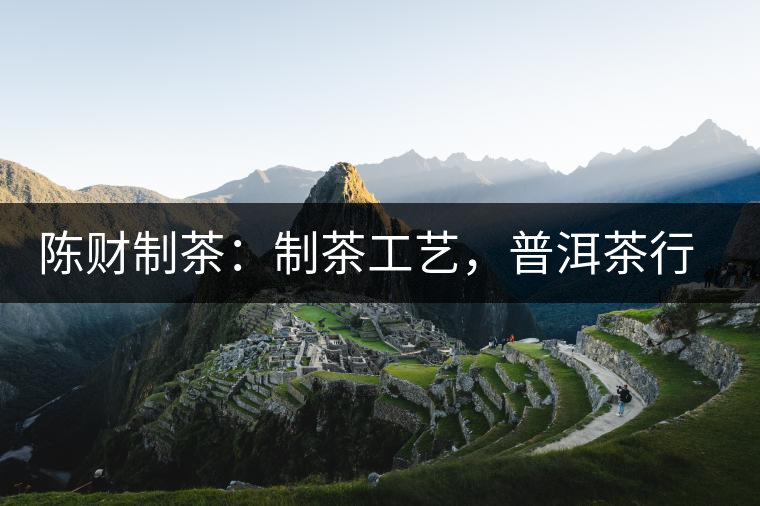 陳財制茶：制茶工藝，普洱茶行業(yè)的生死線
