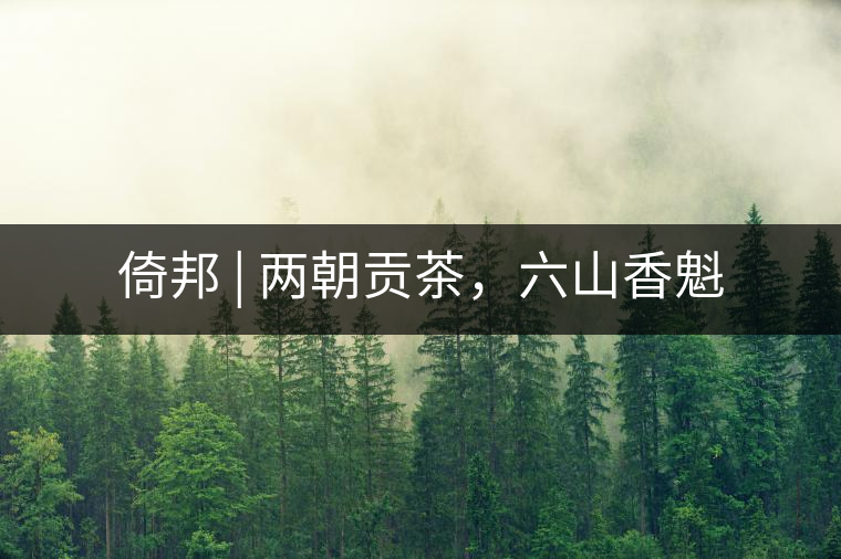 倚邦 | 兩朝貢茶，六山香魁