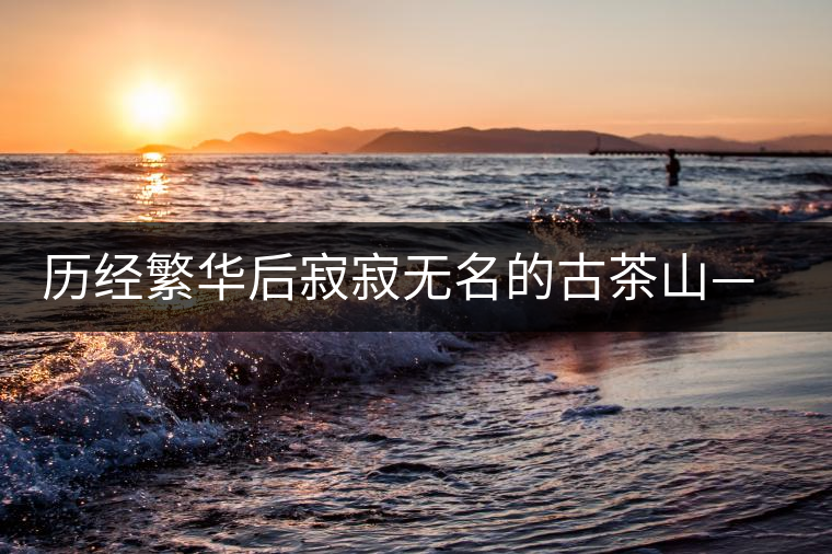 歷經(jīng)繁華后寂寂無名的古茶山——莽枝