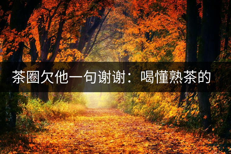 茶圈欠他一句謝謝：喝懂熟茶的人，都該記住陳佩仁這個(gè)名字