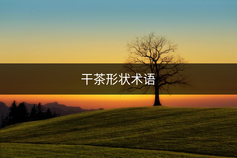 干茶形狀術(shù)語 干茶形狀術(shù)語