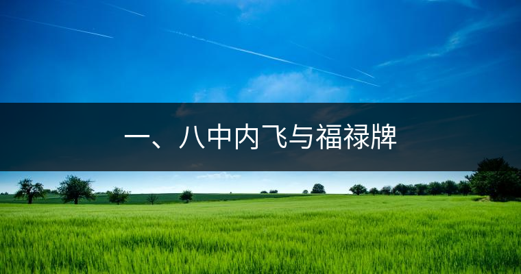 一、八中內(nèi)飛與福祿牌