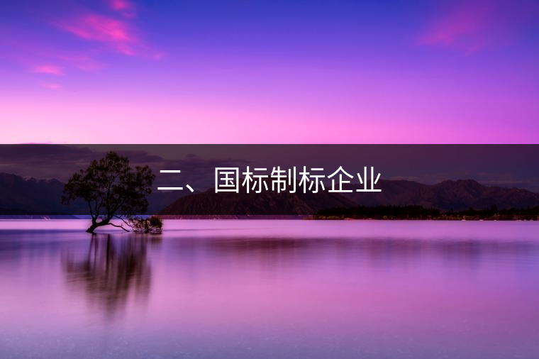 二、國標(biāo)制標(biāo)企業(yè)