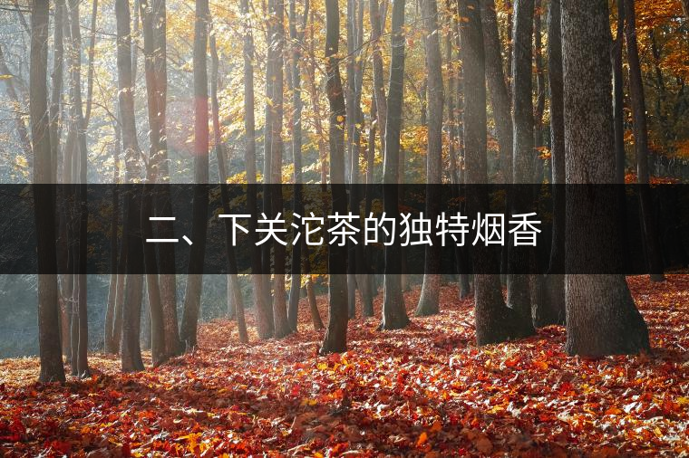 二、下關(guān)沱茶的獨特煙香