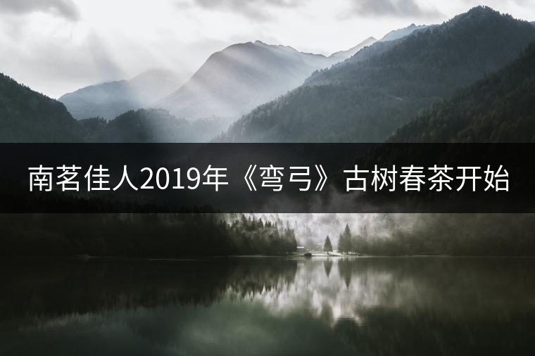 南茗佳人2019年《彎弓》古樹春茶開始預(yù)售啦！