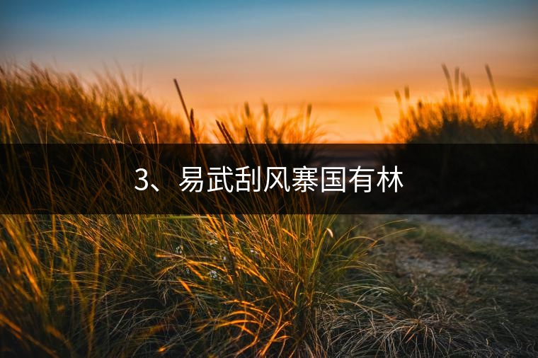 3、易武刮風(fēng)寨國有林