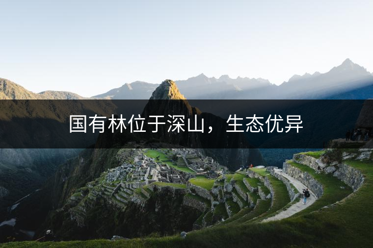 國有林位于深山，生態(tài)優(yōu)異