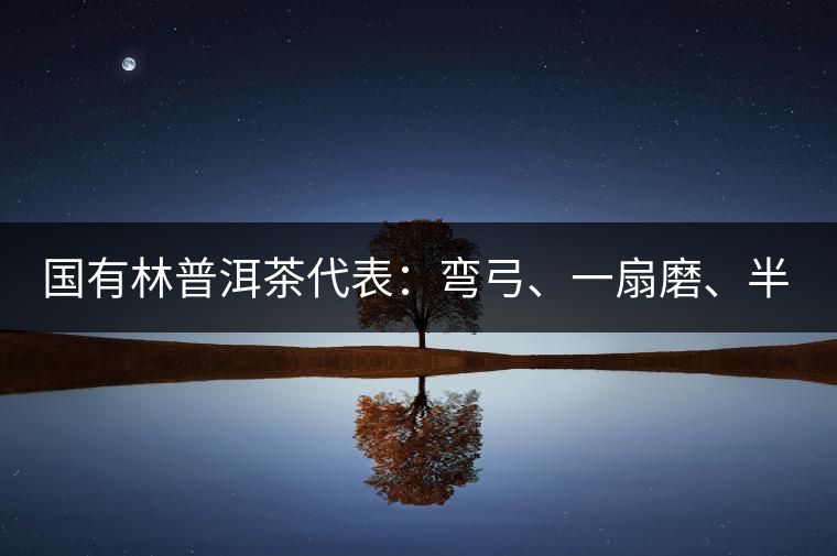 國有林普洱茶代表：彎弓、一扇磨、半坡老寨