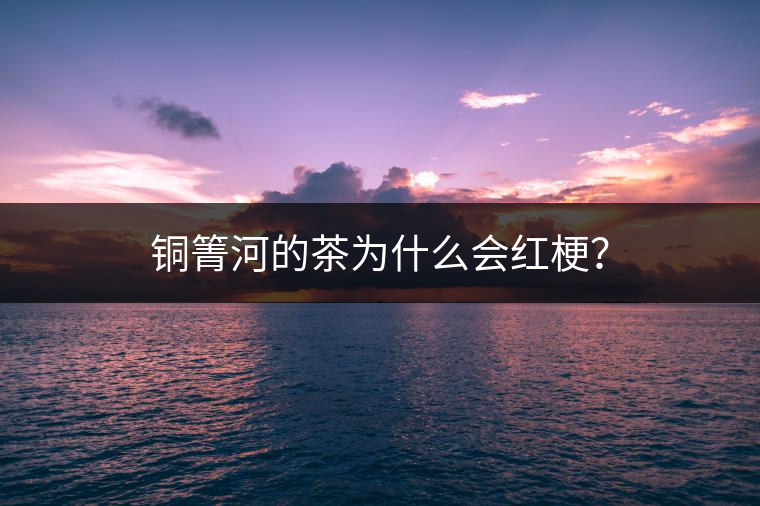 銅箐河的茶為什么會紅梗？