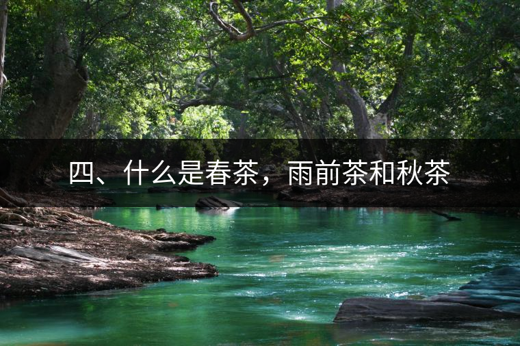 四、什么是春茶，雨前茶和秋茶