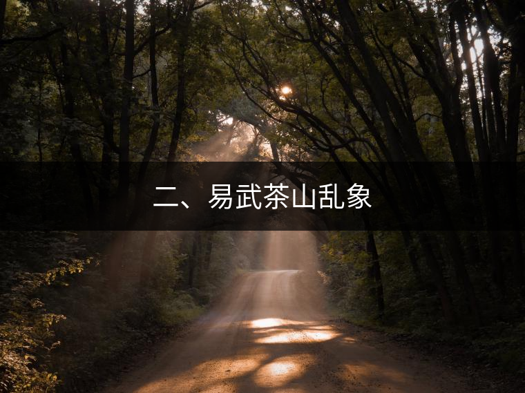 二、易武茶山亂象