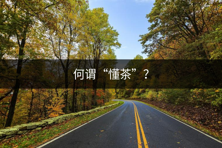何謂“懂茶”？