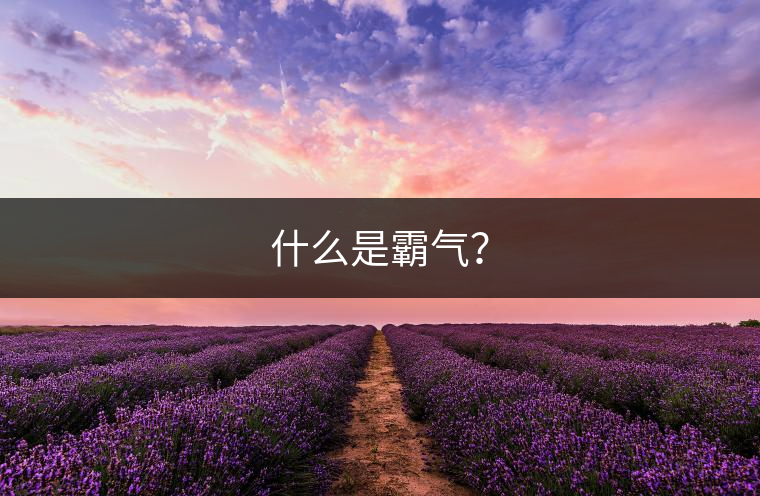 什么是霸氣？