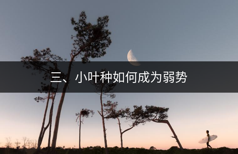 三、小葉種如何成為弱勢