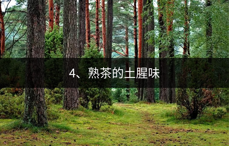 4、熟茶的土腥味