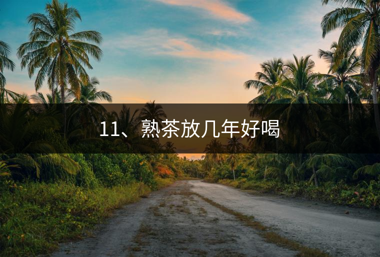 11、熟茶放幾年好喝