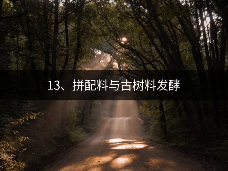 13、拼配料與古樹料發(fā)酵