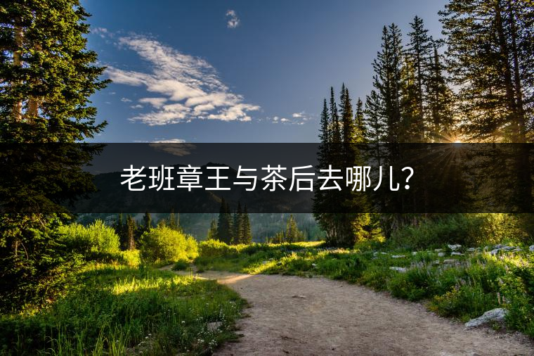老班章王與茶后去哪兒？