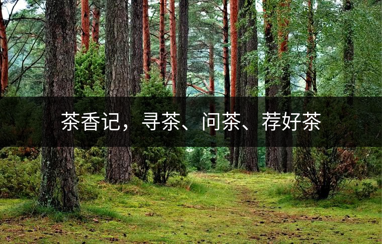 茶香記，尋茶、問茶、薦好茶