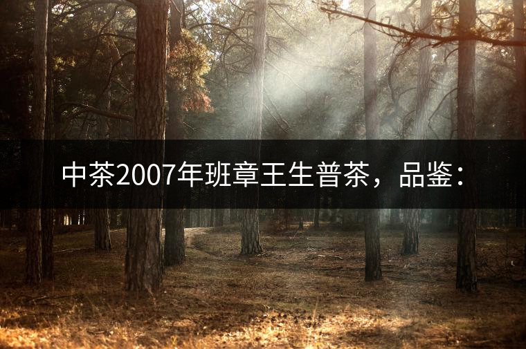 中茶2007年班章王生普茶，品鑒：