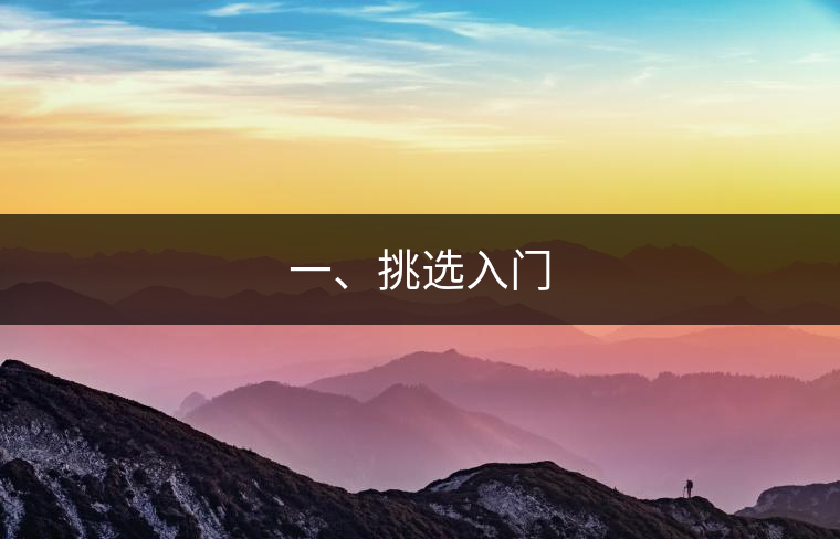 一、挑選入門