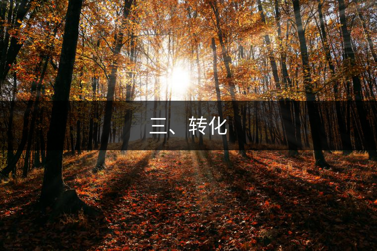 三、轉(zhuǎn)化
