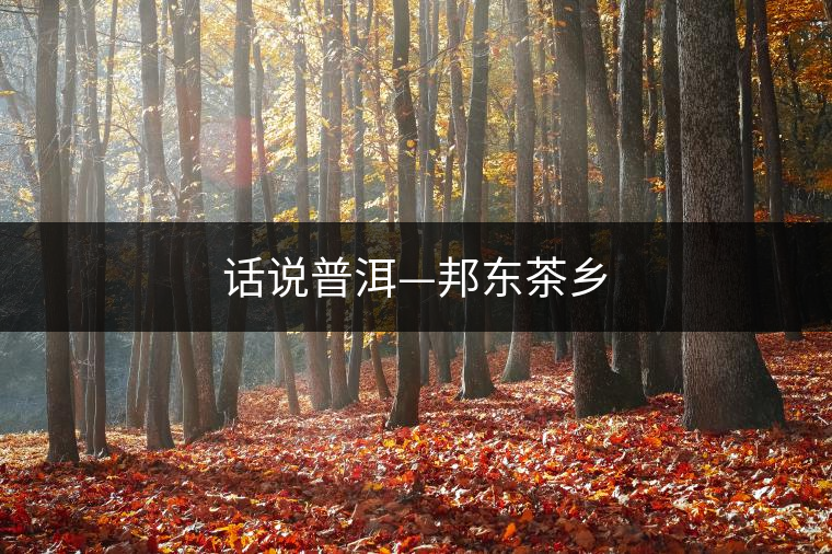話(huà)說(shuō)普洱—邦東茶鄉(xiāng) 話(huà)說(shuō)普洱—邦東茶鄉(xiāng)