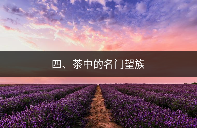 四、茶中的名門望族