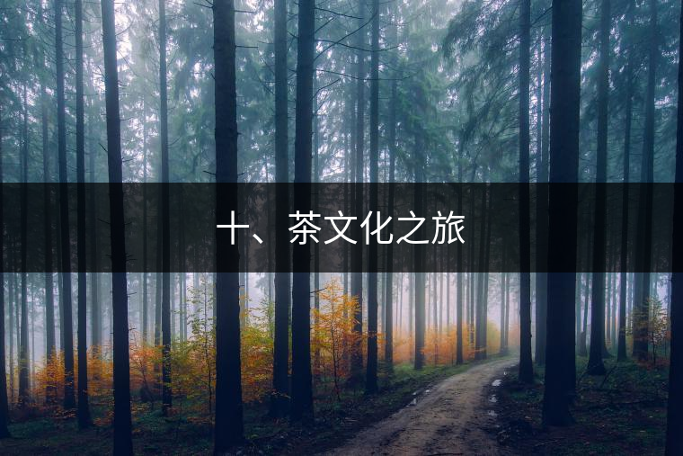 十、茶文化之旅