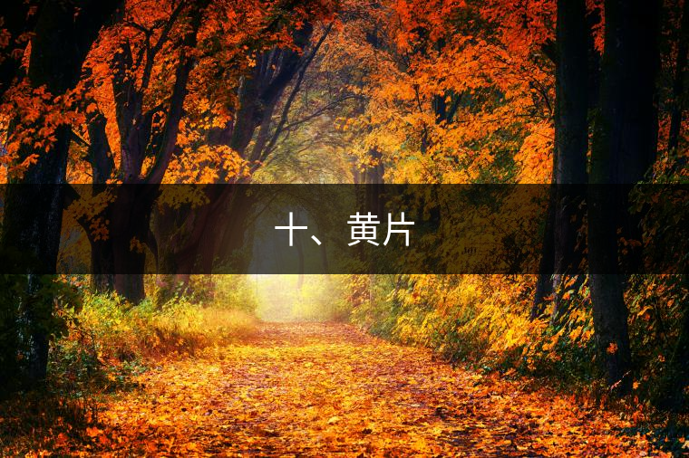 十、黃片