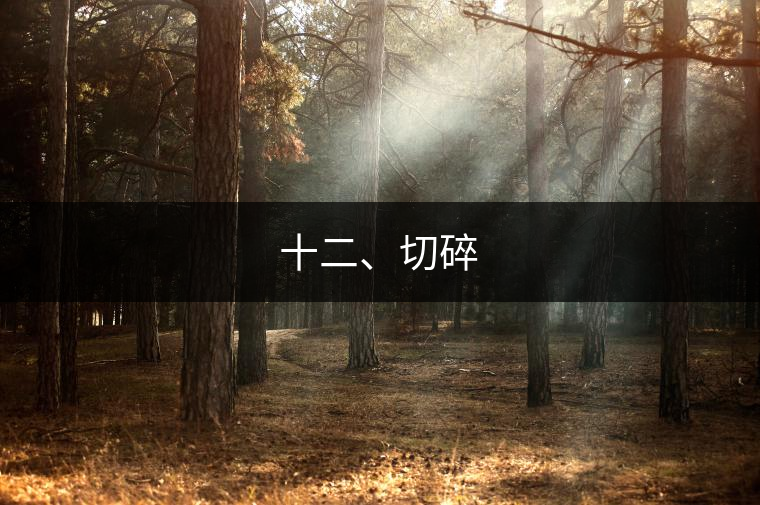 十二、切碎