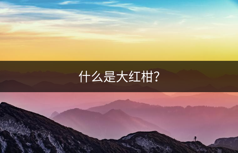 什么是大紅柑？