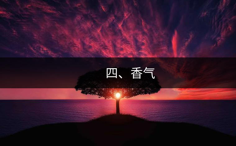 　　四、香氣